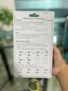 Thermohygrometer Indoor Outdoor TH-812E / Thermo Hygrometer Ruangan